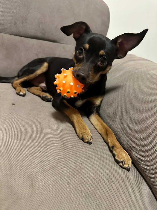 Подарено е вече.