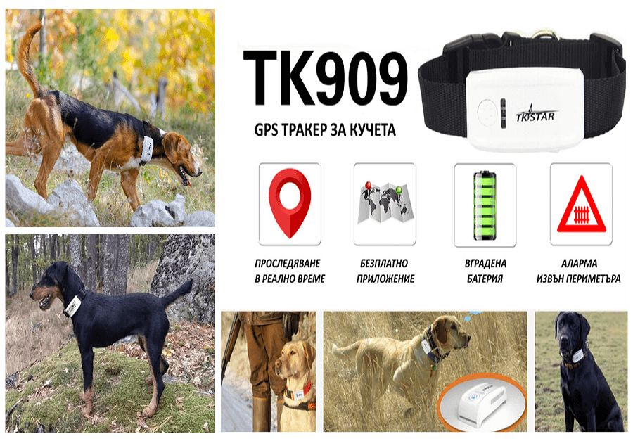 GPS за ловни кучета