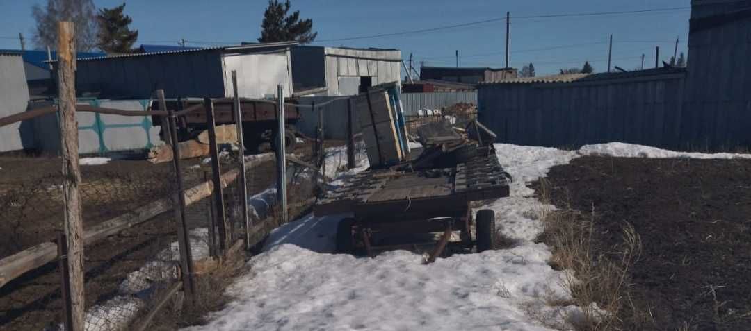 Пчелоприцеп торг сильный Пчеловодство прицеп для ульев