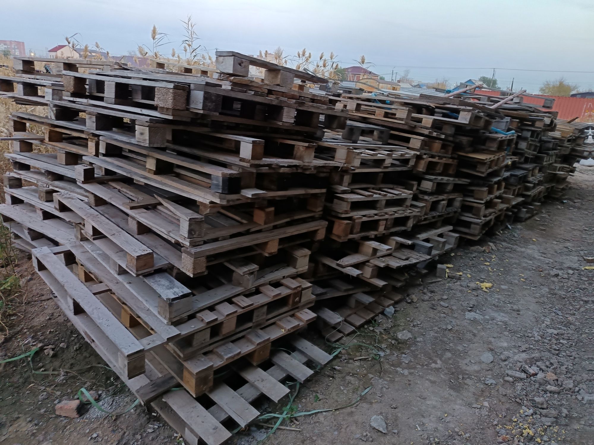 Дрова сухие в мешках цена за 1 мешок 1000тг