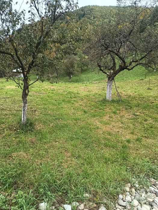 Vând teren intravilan