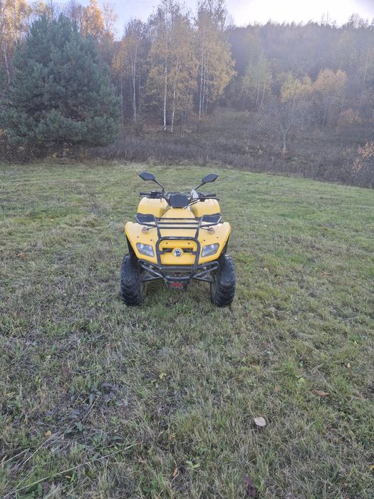 Can-am Rally 200cmc import Germania