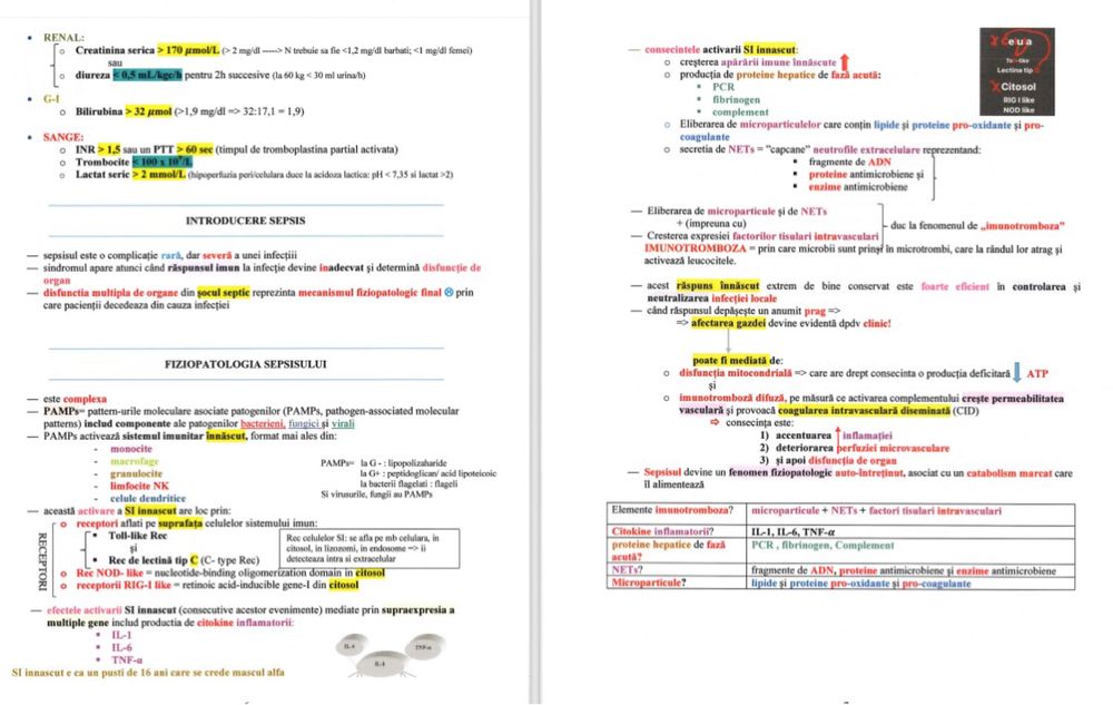 Scheme rezialtfel rezidentiat pdf