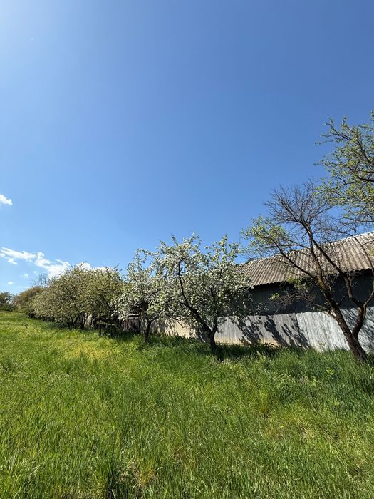 Teren de vânzare Mănăstirea Doamnei, Botosani