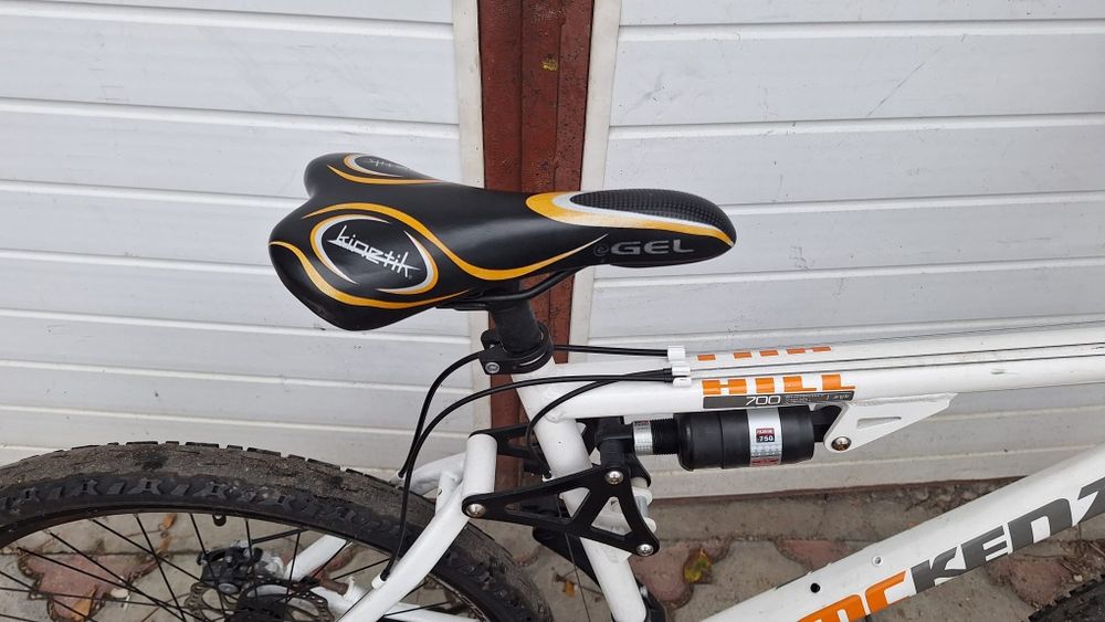 Bicicleta  Mc kenzie