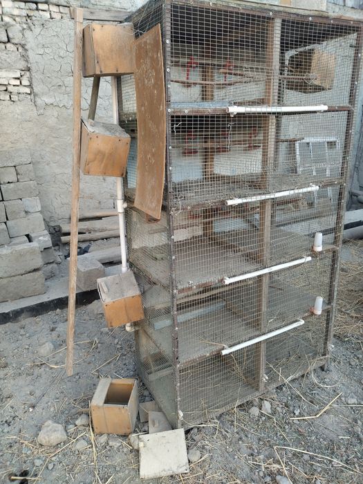 Валер сотилади...