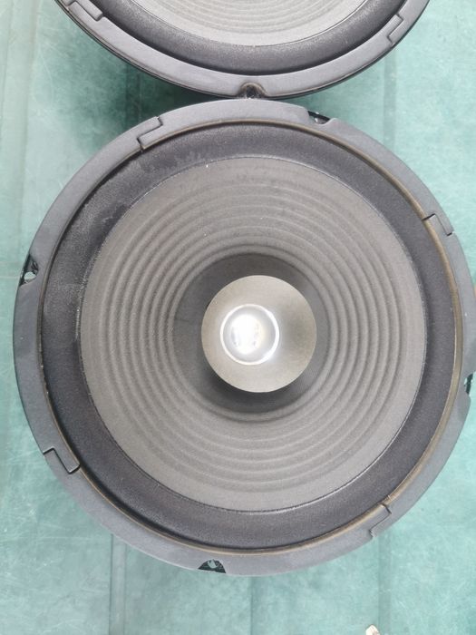 Difuzoare 10 inch Altai Taiwan