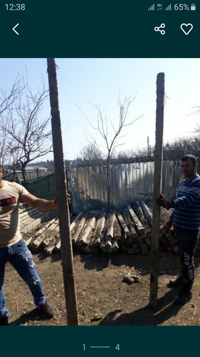 Stâlpii, pari, Șpalieri de beton