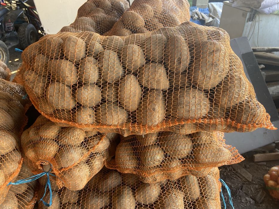 Vand cartof rosi si alb