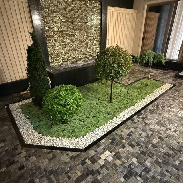 Savdonik Gazon xizmati archa gular ekamiz archa dorilaymiz kelishilga