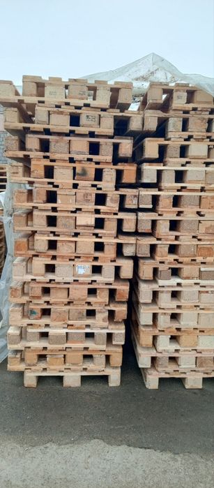 Paddon 1- sort yevro 80 mingdan