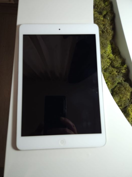 Apple Ipad mini 2