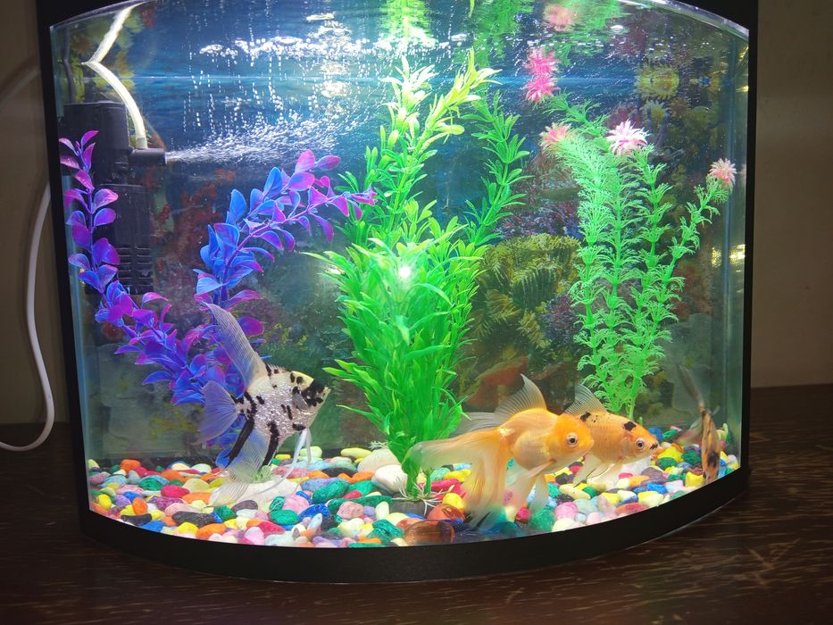 Аквариум 40 литр