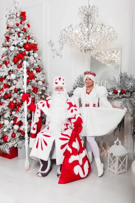 Дед мороз и снегурочка VIP персонажи