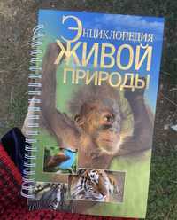 Книга энциклопедия