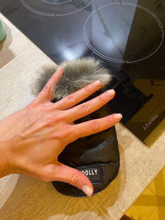 Дрешка за много малко кученце