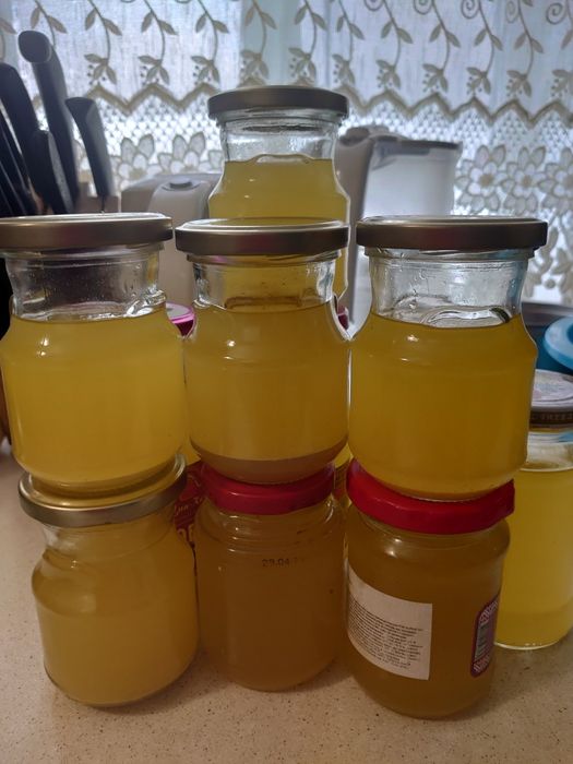 Гусиный жир свежевытопленный