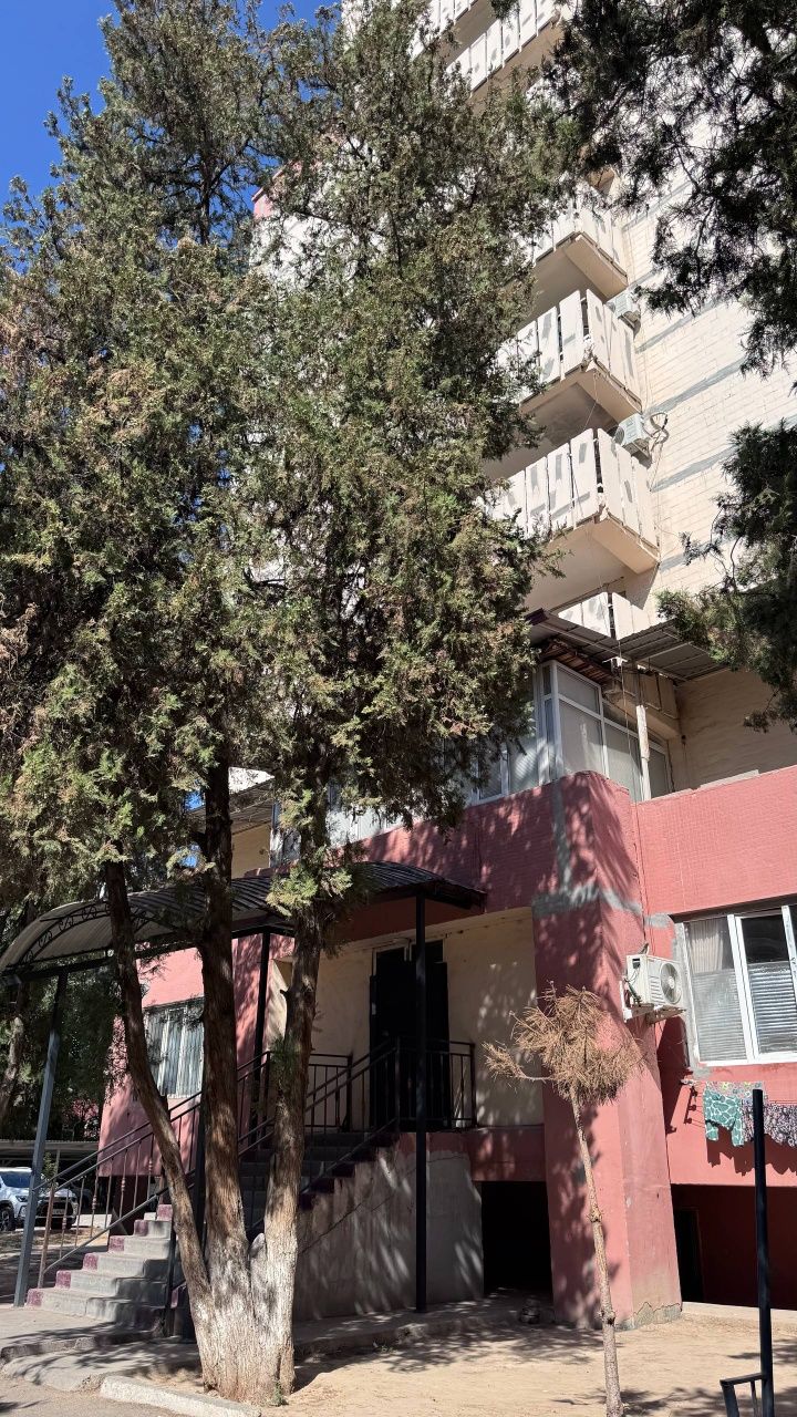 Юнусабад 19 квартал
Ор-р: Батальон 
Бывшее общежитие