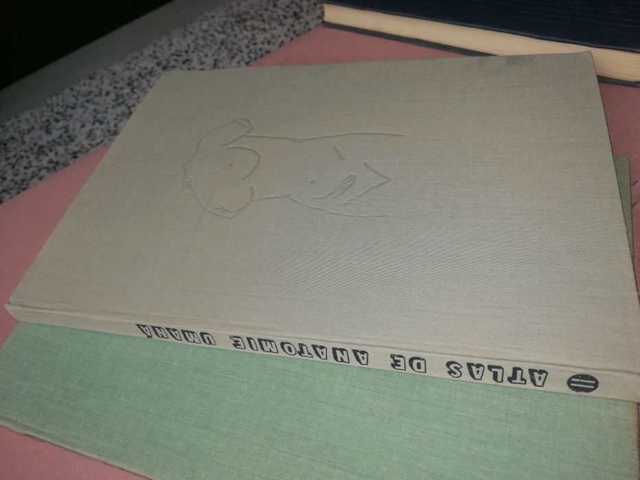 Atlas de anatomie umană vol 2 Organele interne