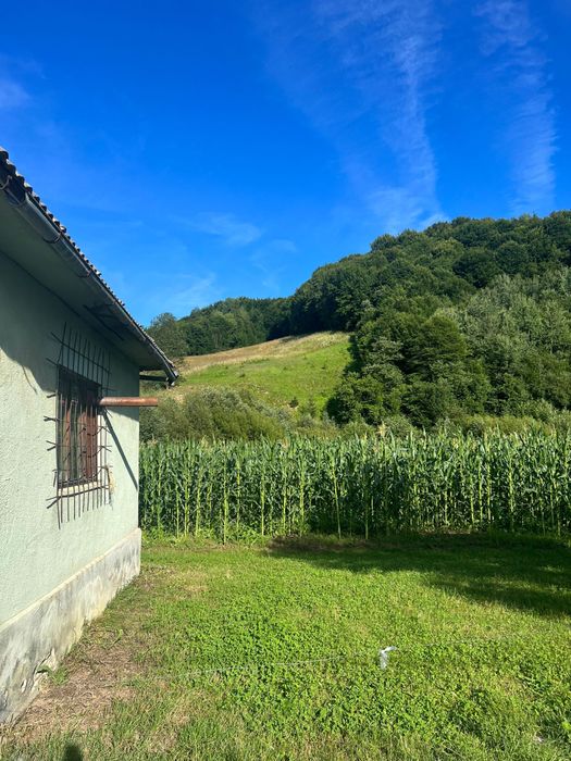 Casa + teren + padure sat Moliset, jud Bistrita Nasaud