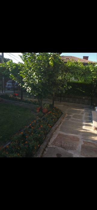 Продава се Къща в Ивайловград - 200 кв.м за 337 €/кв.м - Снимка #7