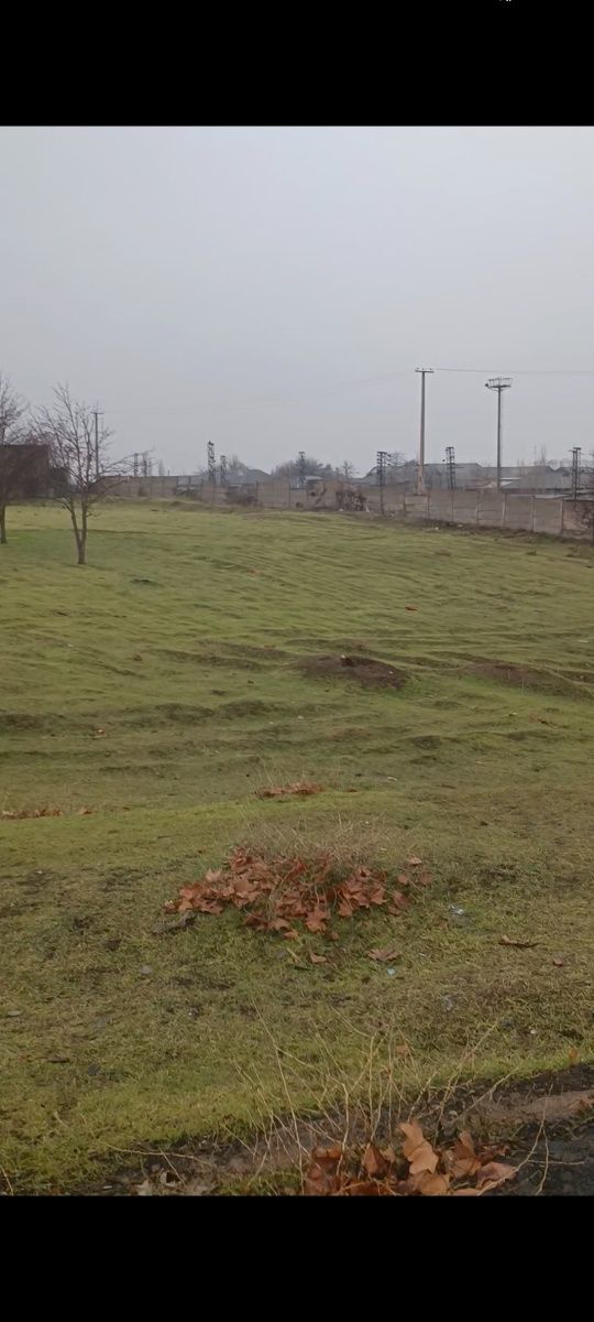 4 гектара Алмалык роддом (Радуга)