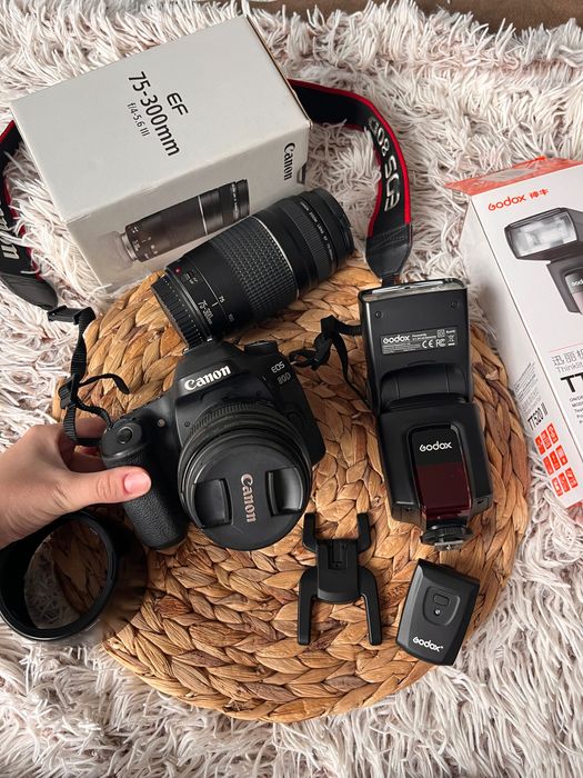 Canon EOS 80D + obiective 75–300mm & 85mm + Godox Blitz — stare bună