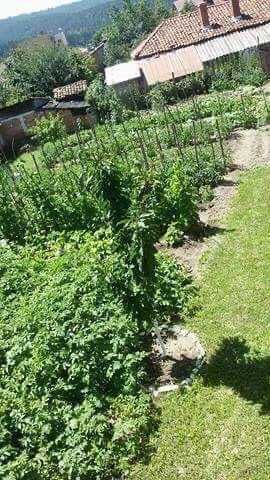 Продава се Къща в София, 7-ми 11-ти километър - 150 кв.м за 700 €/кв.м - Снимка #1