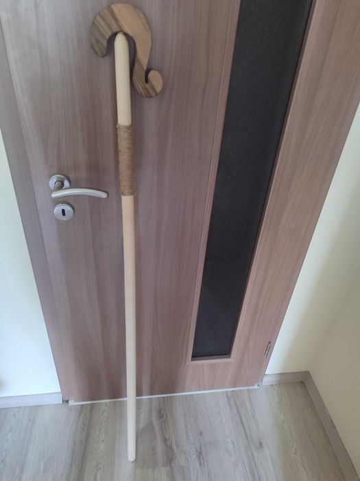 Гега за коледари.