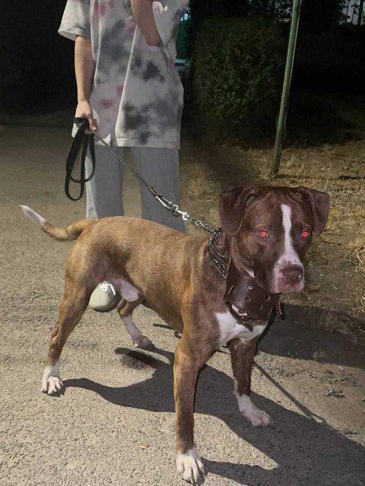 предлогаем кабеля для вязки