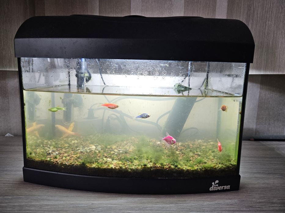 Vand acvariu 25L