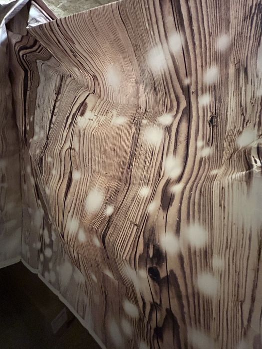 Fundal pentru sedinta foto