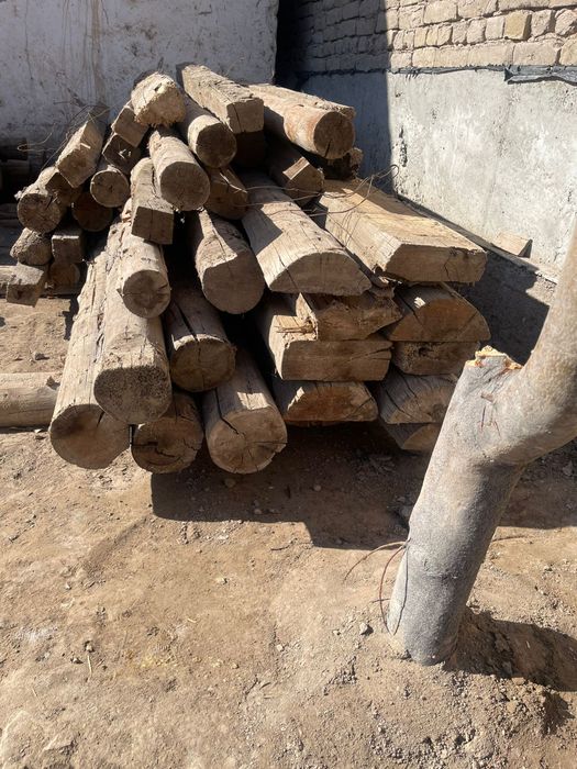 Агашлар сатылады