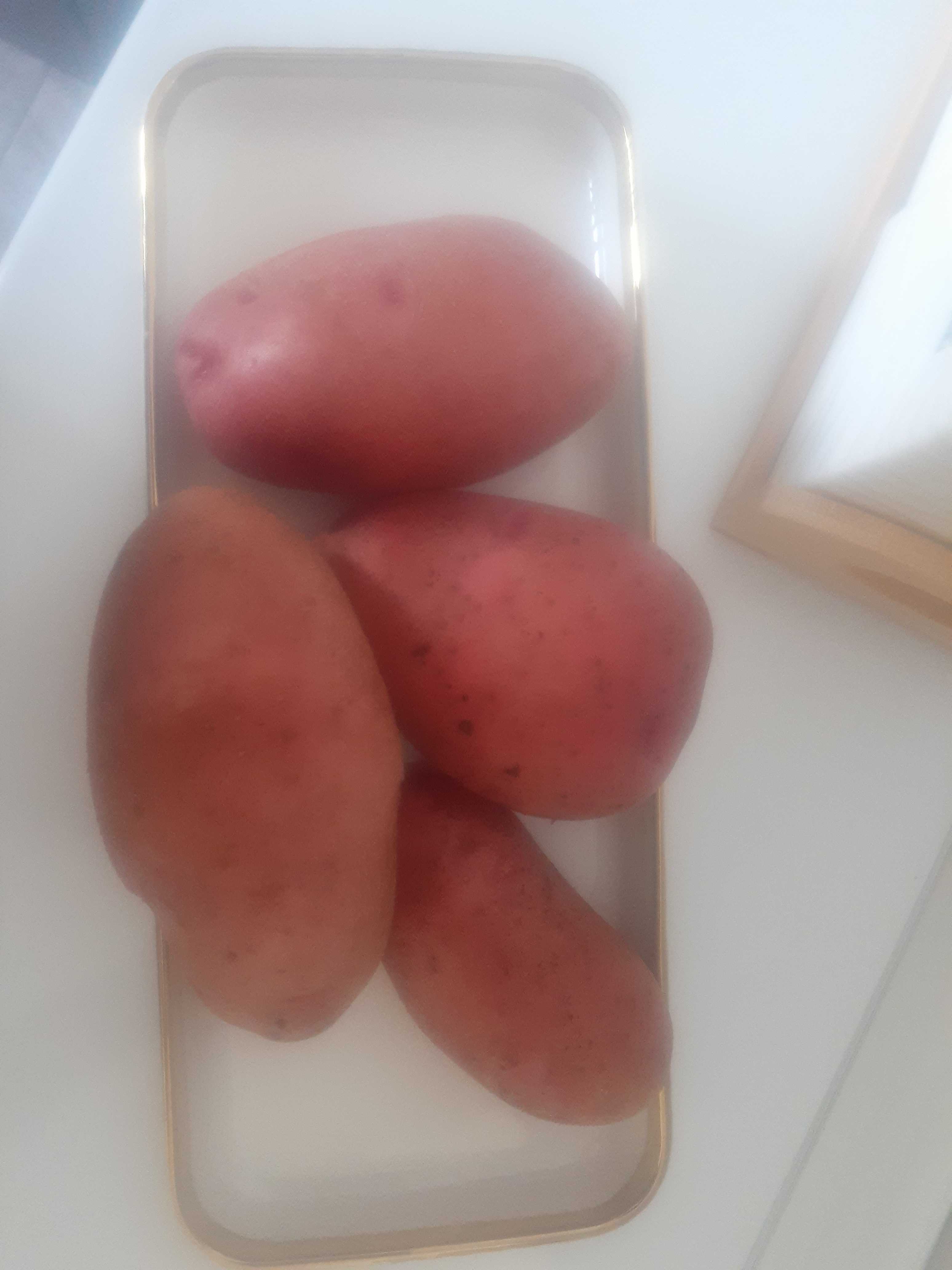 Продам картошку ( красный, белый)
