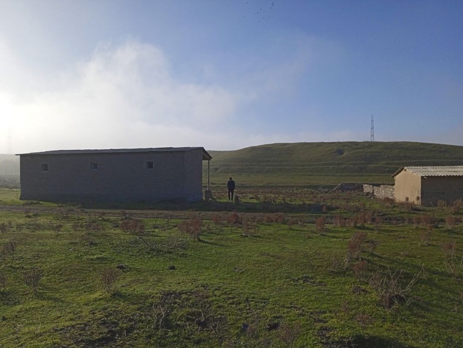 Ferma, qo’ra, molxona. Qo’yxona