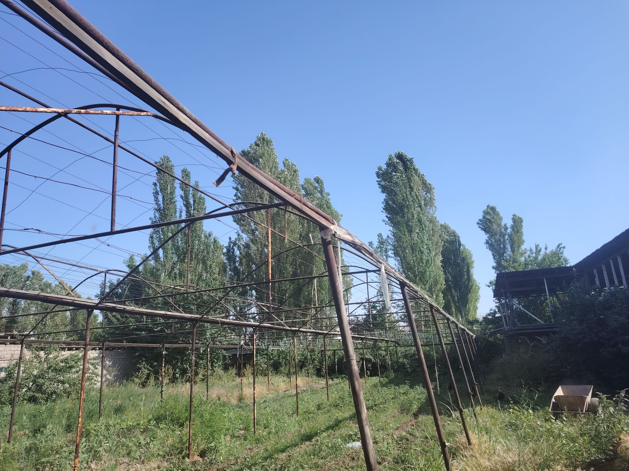 Parnik, issiqxona