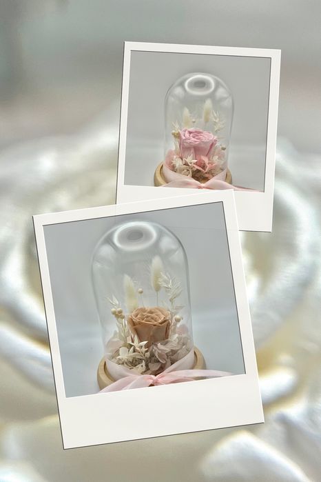 Trandafir criogenat in cupola