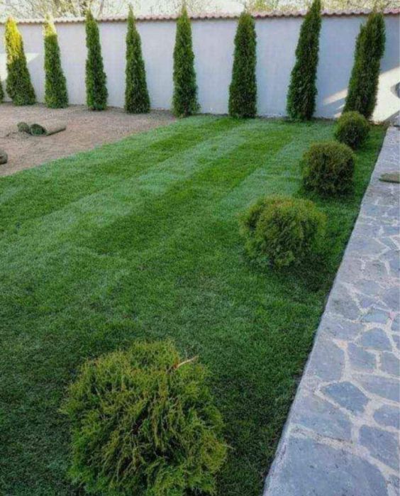 Gazon rulou premium oriunde in tara