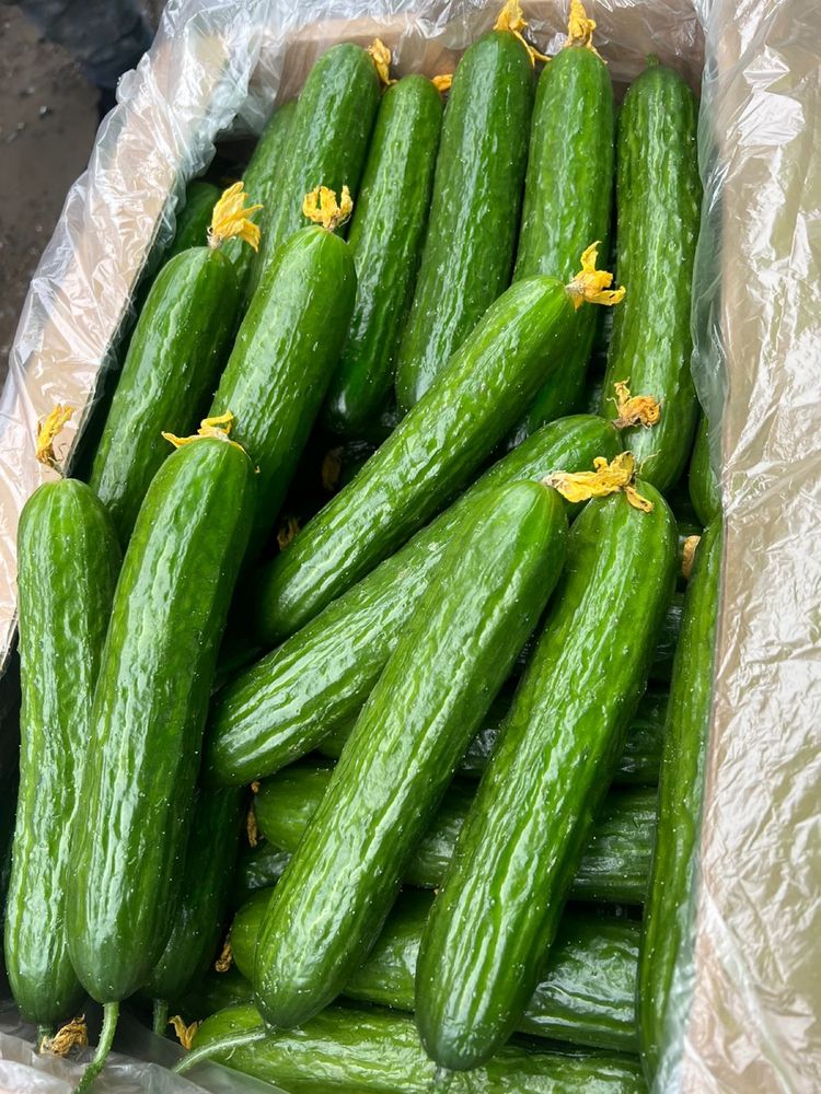 Овощи Доставка есть
