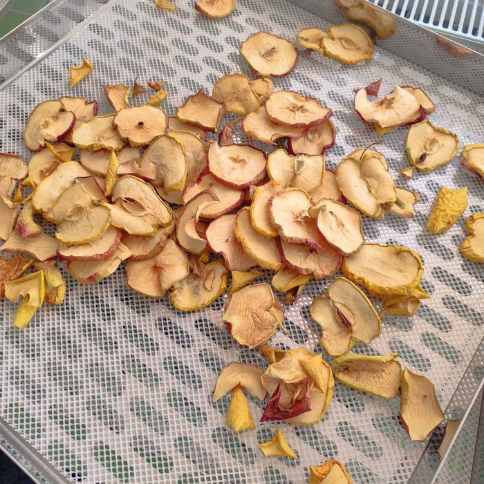 Linie deshidratare mere ,alte fructe si legume-Productie chips cartofi