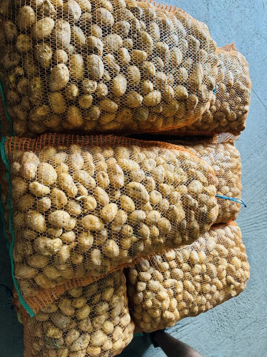 Cartofi pentru animale