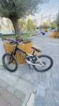 Kona stinky 2-4 2010 custom