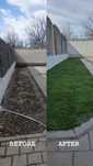 Gazon rulou/Amenajari și întrețineri gradini(Green Grass