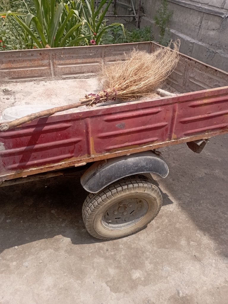 SSSR Muravey 500 kgli