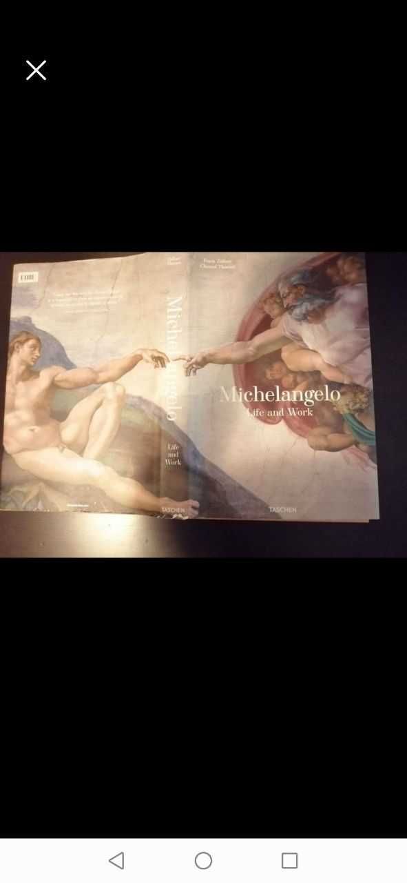 Michelangelo Life and Work