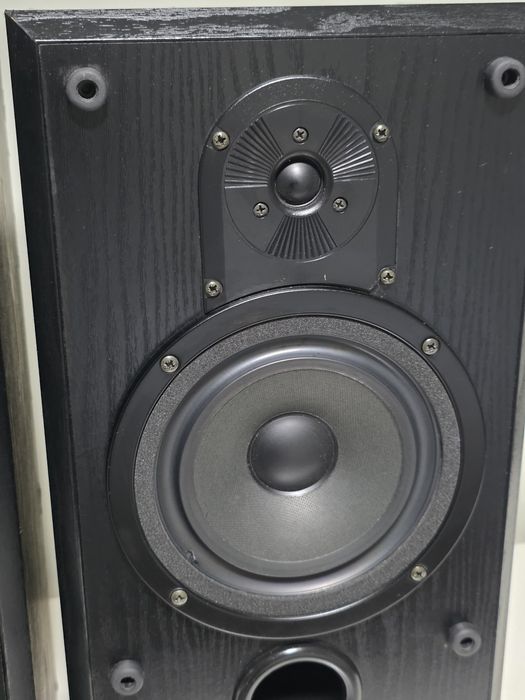 Тонколони Bowers & Wilkins Vision DS2