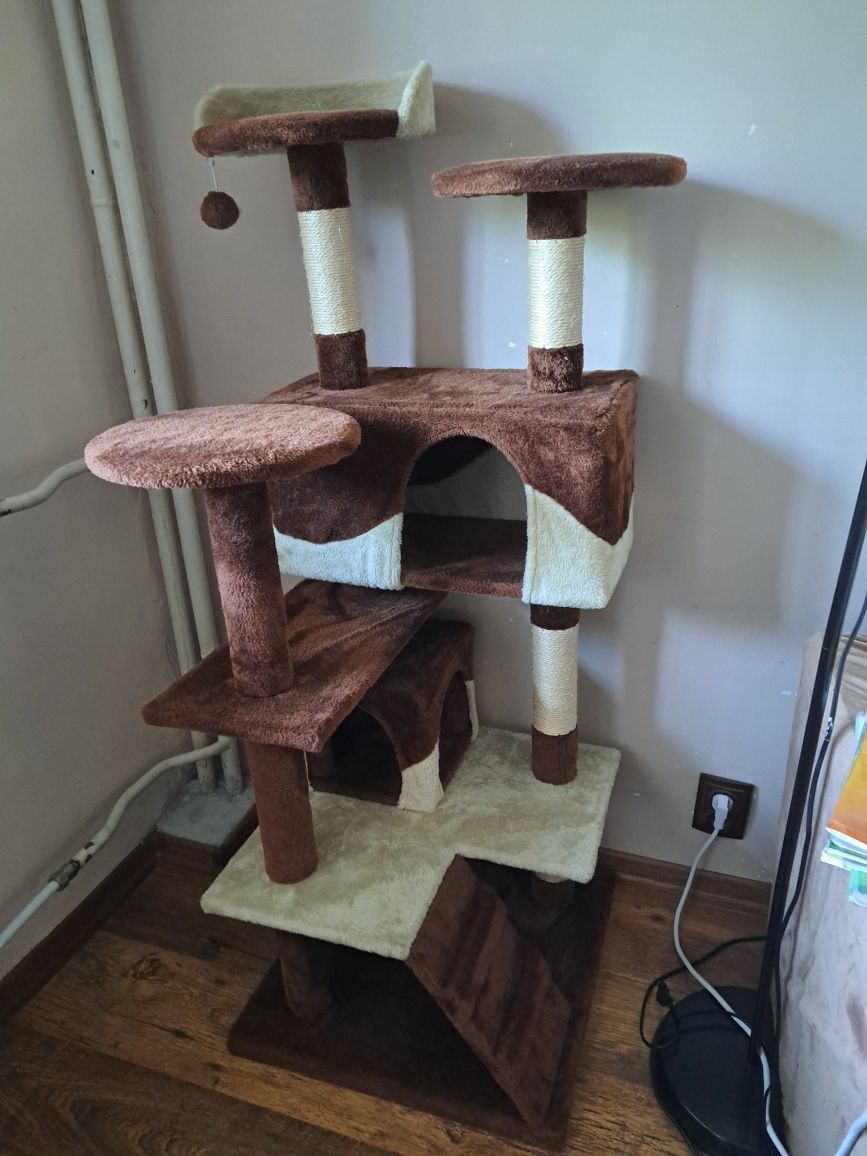 Котешка катерушка