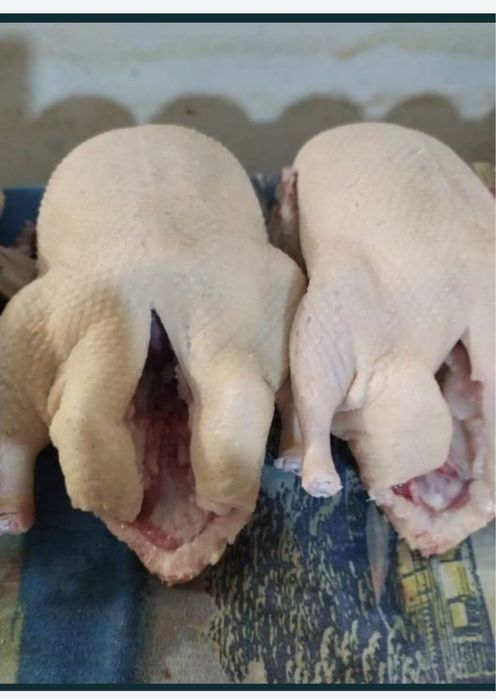 Продам мясо домашнего гуся
