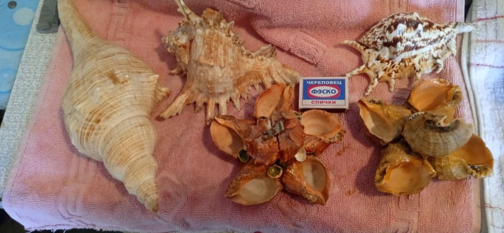 Для аквариума аксессуар смотрите фото