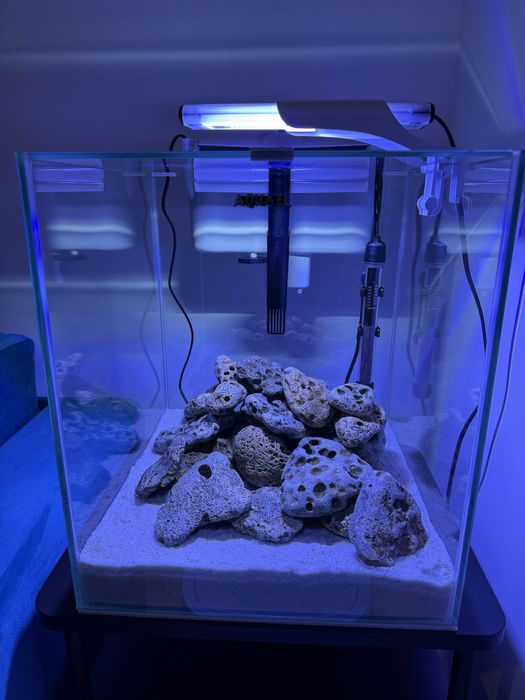 Acvariu Aquael Shrimp&Fish, impecabil, complet echipat!